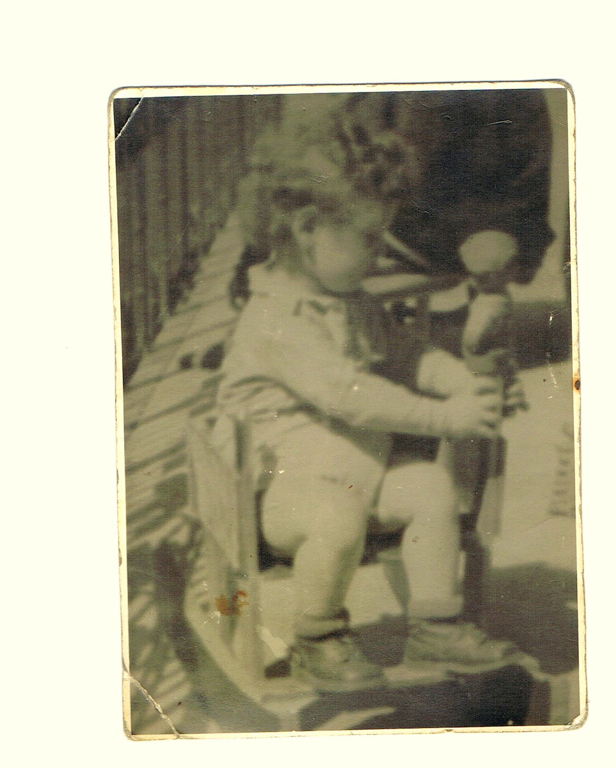 Fehér Miklós